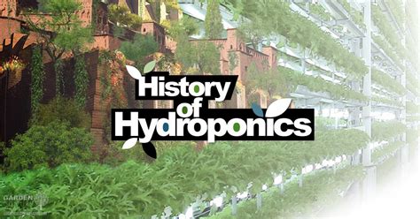 A look at the History of Hydroponics .